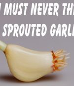 Why You Must Never Throw Away Sprouted Garlic