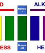  How The Alkaline Approach Can Successfully Treat Cancer