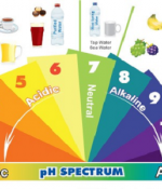 Healing Cancer With Nutrition (Six Dietary Changes)