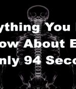 Everything You Need To Know About EBOLA In Only 94 Seconds