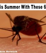 Repel Bugs This Summer With These 6 Simple Tricks