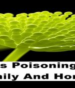 This Could Be Secretly Poisoning Your Family
